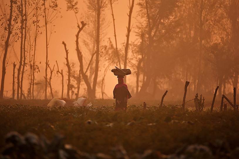 Сринагар, Индия. Женщина с корзиной на голове ранним утром