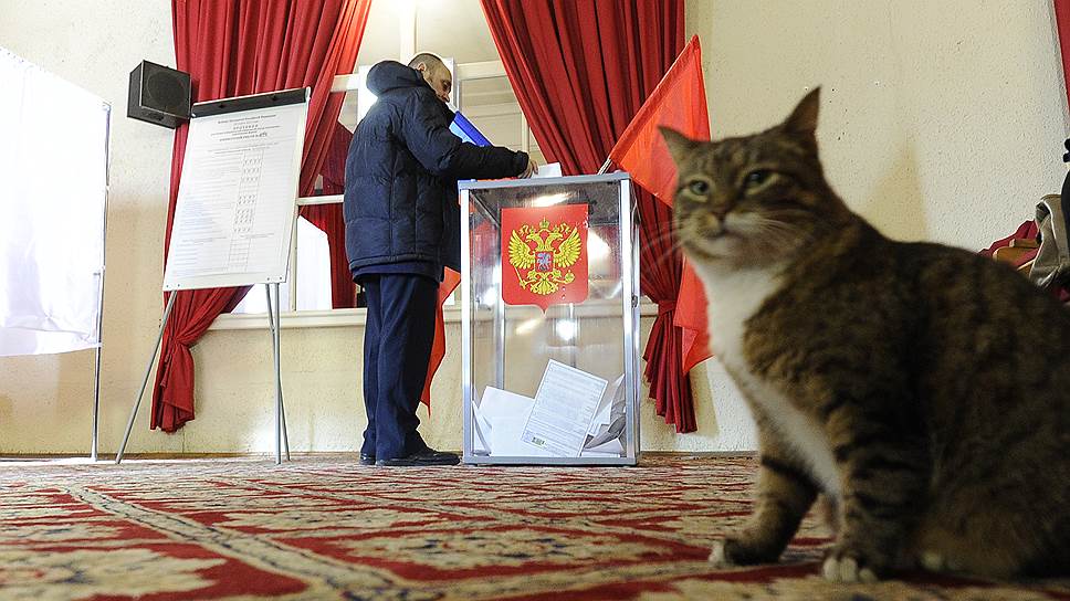 Центризбирком не нашел нарушений на выборах в Госдуму