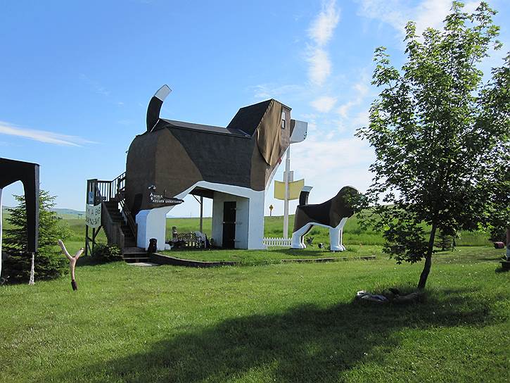 В американском Коттонвуде (штат Айдахо) функционирует Dog Bark Park, выполненный в форме гигантской собаки. Изображения собак использованы в интерьерах гостиницы, вместо садовых гномов во дворе стоят фигурки собак. На территории расположен магазин, в котором гости могут приобрести на память различные сувениры в виде домашних животных. Одноместное размещение с завтраком обойдется в $118. За дополнительную плату — $15 — с собой можно захватить питомца