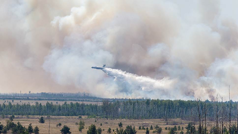 Как Минприроды оценило эффективность регионов в борьбе с лесными пожарами