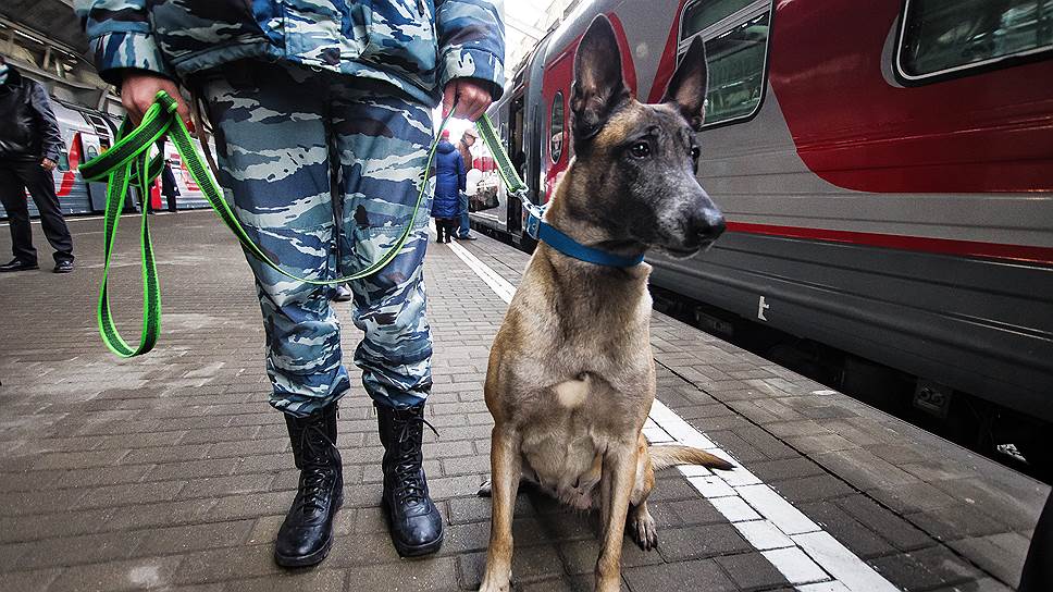 Как были усилены меры безопасности на транспорте после теракта в Санкт-Петербурге