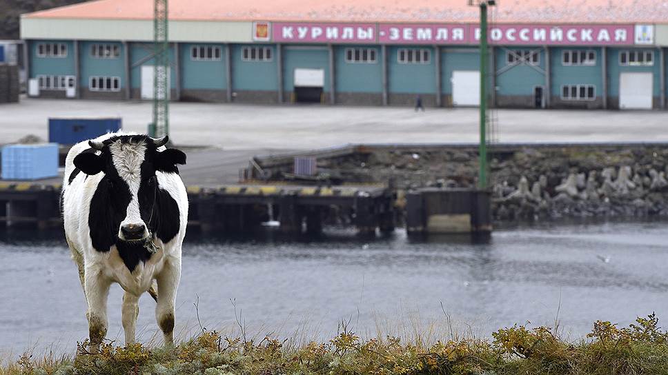 Чем живут российские Курилы