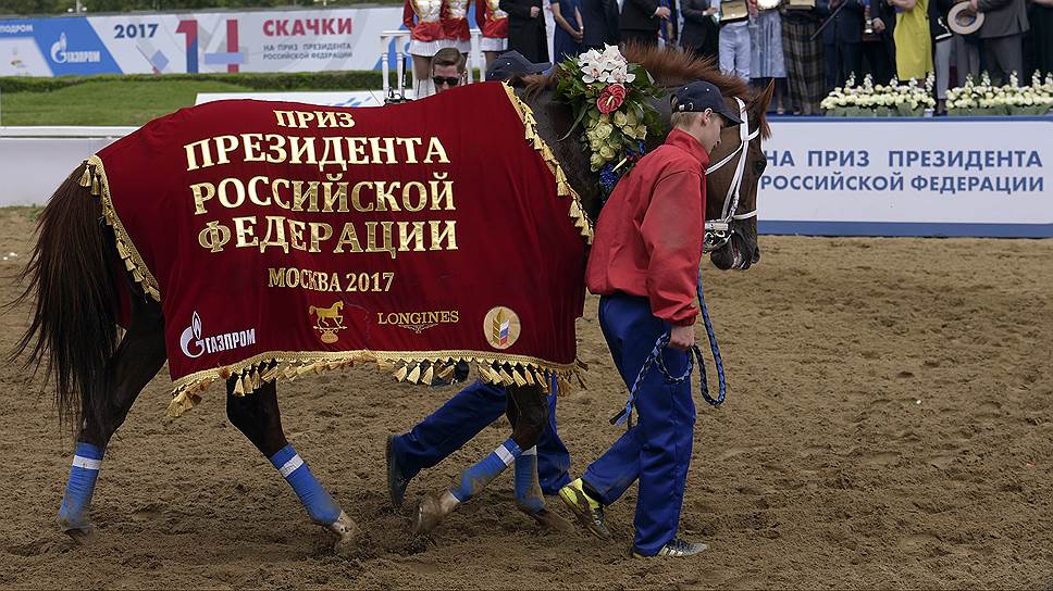 «Газпром» участвует в проведении скачек на приз президента и поддержке телеканала «Конный мир»