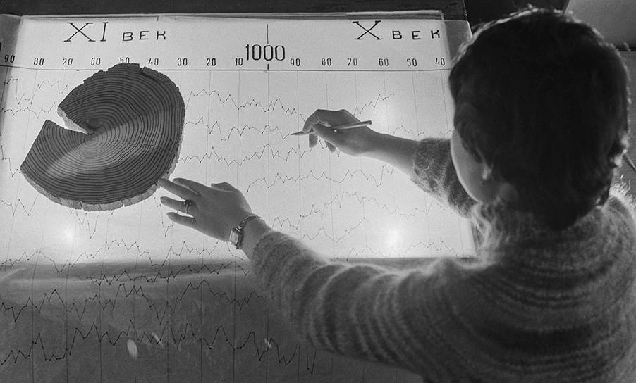 Исследование годовых колец бревен из новгородских мостовых позволило построить дендрохронологическую шкалу, позволяющую точно определить возраст любого бревна