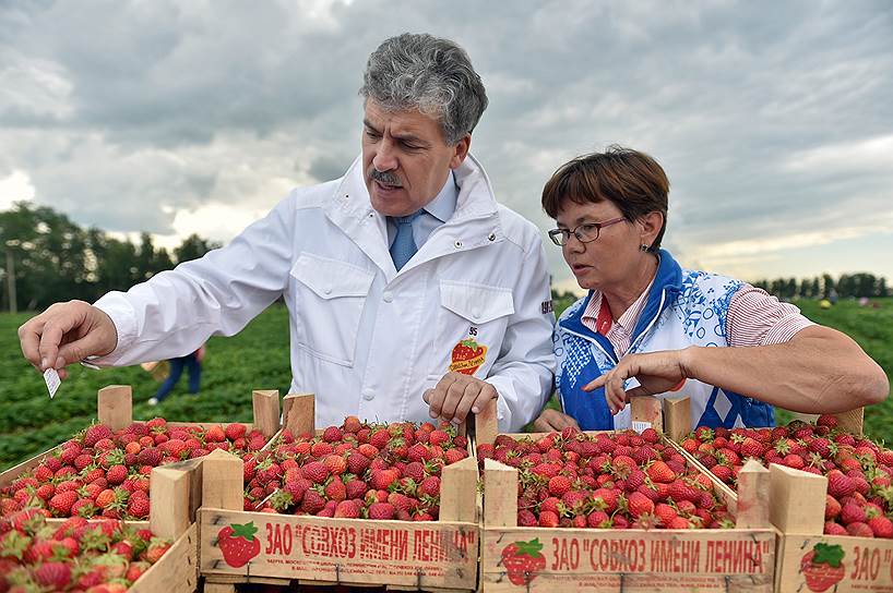 Директор «Совхоза имени Ленина», бывший кандидат в президенты от КПРФ Павел Грудинин