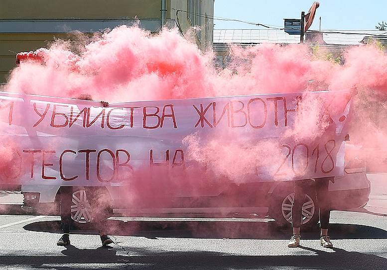 Москва. Зоозащитники во время акции против убийств бездомных животных перед чемпионатом мира по футболу у здания Минспорта 