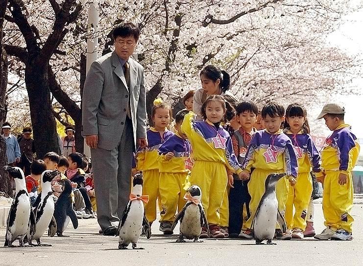 В Северной Корее то борются за высокую рождаемость, то ограничивают количество детей в семье
