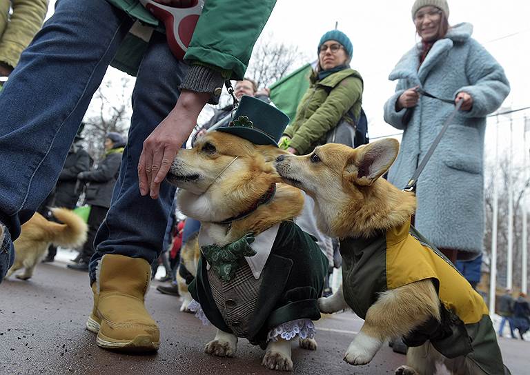 Кроме того, в евангелическо-лютеранском кафедральном соборе святых Петра и Павла в «Сокольниках» прошел праздничный гала-концерт «День святого Патрика», подготовленный фондом «Бельканто»