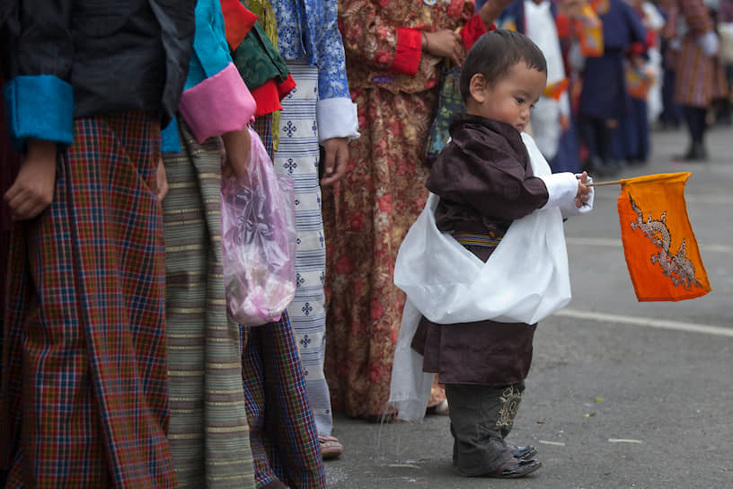 В Бутане существует две зарегистрированные политические партии. Остальные, значительное количество которых было основано в изгнании, остаются незарегистрированными или запрещенными. Одна из таких  — «Драконовый национальный конгресс», основанная в Непале беженцами из Бутана. Символом как страны, так и партии является дракон