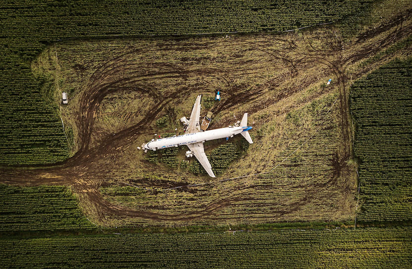 Аварийная посадка Airbus А321
&lt;br>15 августа Airbus А321 «Уральских авиалиний» совершил вынужденную посадку в подмосковном кукурузном поле из-за стаи сизых чаек. На борту находились 226 пассажиров и семь членов экипажа. Пострадали 76 человек. Действия летчиков Дамира Юсупова и Георгия Мурзина были признаны образцовыми. Президент России Владимир Путин присвоил им звания Героев России 
&lt;br>Заметность: 8 251