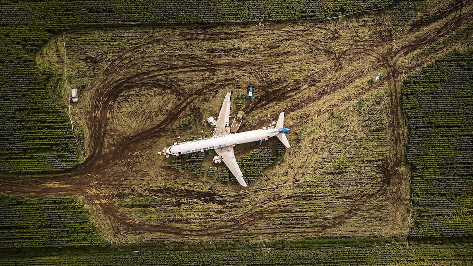 Лучшие фотографии 2019 года