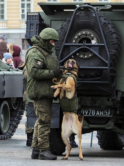 27 января. Санкт-Петербург. Военнослужащий с собакой на выставке исторической и военной техники на Дворцовой площади в честь  76-й годовщины полного освобождения Ленинграда