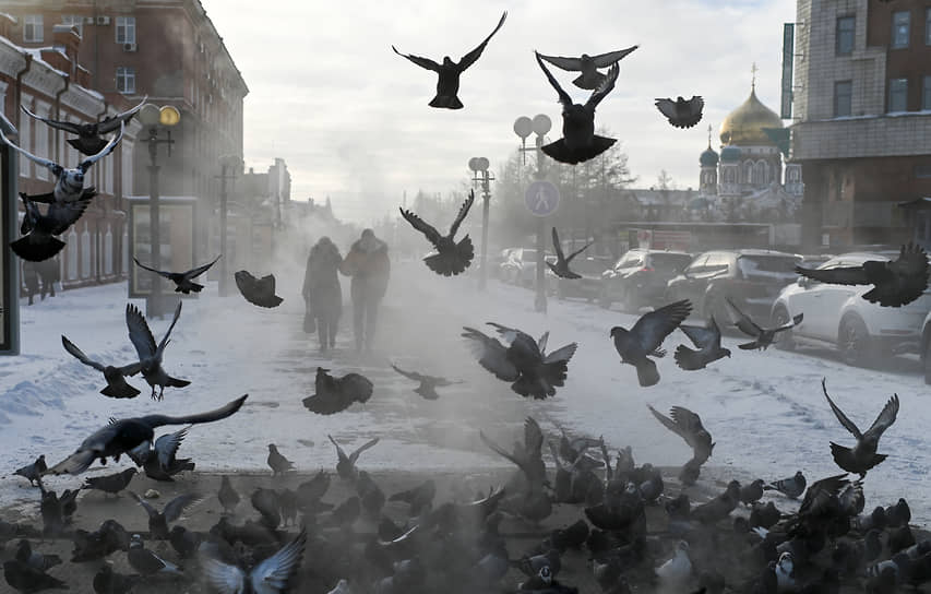 Омск, Россия. Голуби и прохожие на одной из улиц города