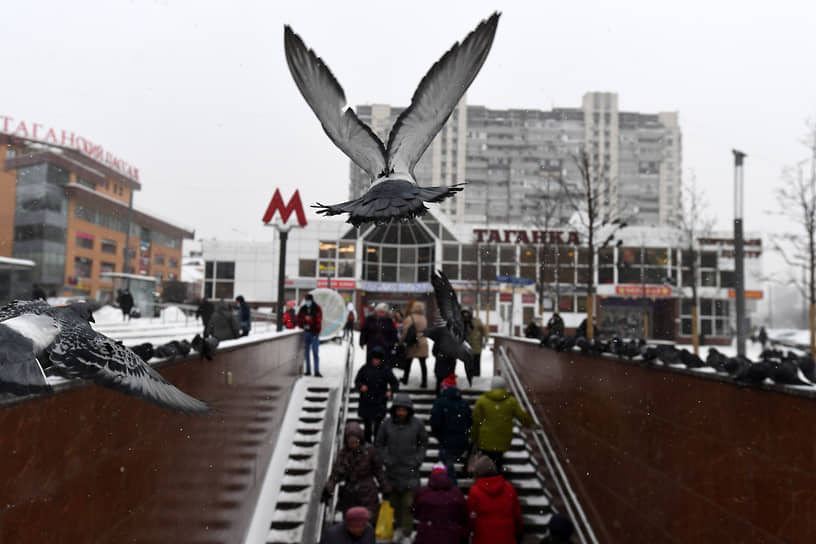 Москва, Россия. Голубь пролетает над входом станции метро «Марксистская»