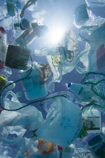 Почти половина пластикового мусора в океане — упаковка для еды