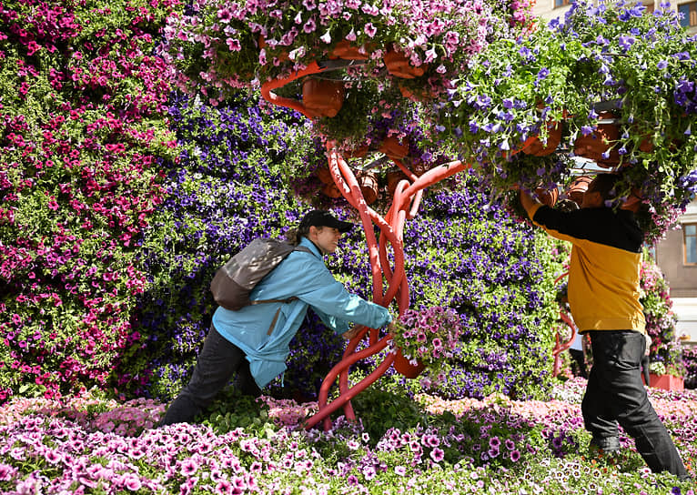Сад на Манежной площади украшают цветочные арки и поля