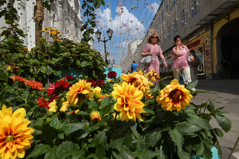 Цветочные композиции будут украшать Москву до 11 сентября