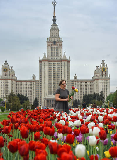 Высота небоскреба — 183,2 м (со шпилем — 235 м). До 1990-х годов здание МГУ оставалось самым высоким сооружением в Европе. Изначально вместо шпиля здание должно было заканчиваться памятником Ломоносову. Высотку также украшают статуи студентов с открытыми книгами, большой циферблат, барометр и термометр