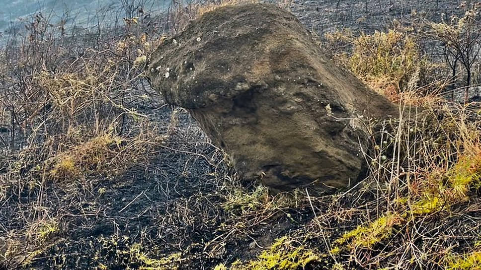 По сообщениям властей Чили, непосредственно в зоне пожара оказались 386 статуй. По предварительным оценкам, пострадали около 30 из них