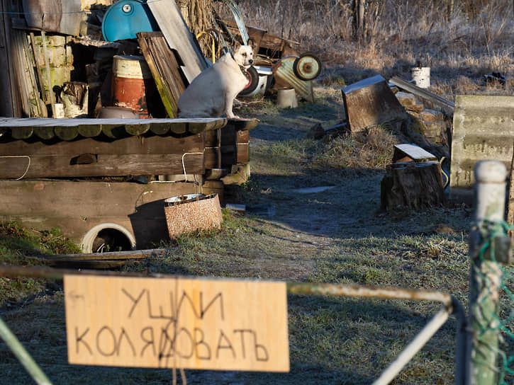 Святки всегда были особым временем, наполненным магией и обрядами.Колядование было одним из немногих действ, которое не осуждалось церковью