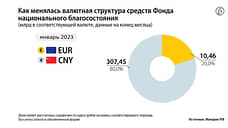 Как менялась валютная структура Фонда национального благосостояния