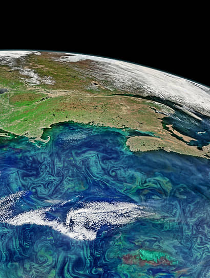Интенсивное цветение фитопланктона в прибрежных океанах