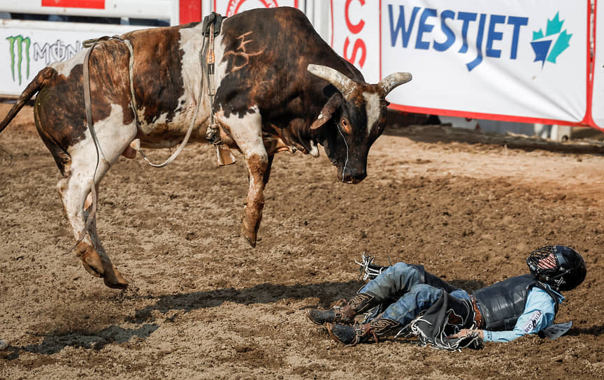 Калгари, США. Родео-фестиваль Calgary Stampede 