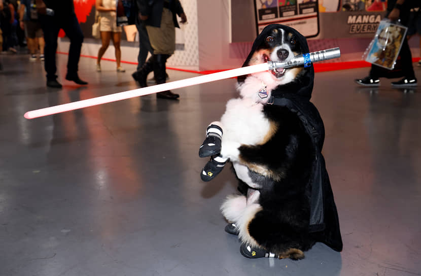 Собака в образе императора ситхов с лазерным мечом