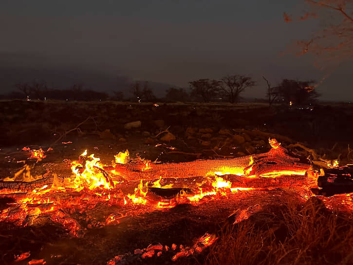 Кихеи, Гавайи. Разрушения после сильного лесного пожара 