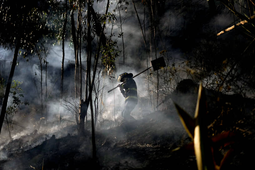 Боготы, Колумбия. Пожарный в лесу после тушения огня