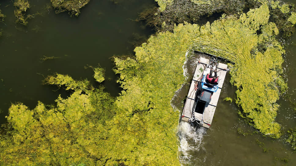 Восель, Франция. Очистка канала Сен-Кантен от водорослей