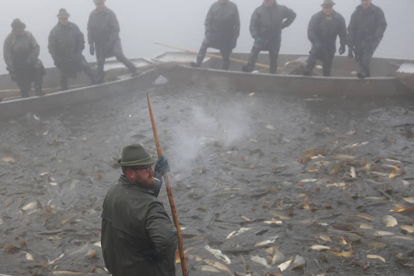 Весели-над-Лужници, Чехия. Рыбак курит сигарету во время традиционной ловли карпа