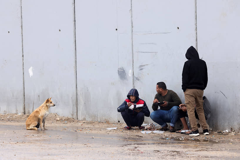 Рафах, сектор Газа. Собака смотрит на людей у погранперехода с Египтом 