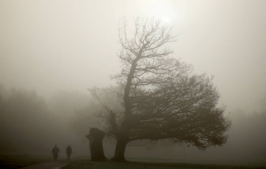 Манчестер, Великобритания. Туман в парке Уитеншоу 
