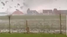 Торнадо пронесся по муниципалитетам Бельгии, повреждено более 40 домов
