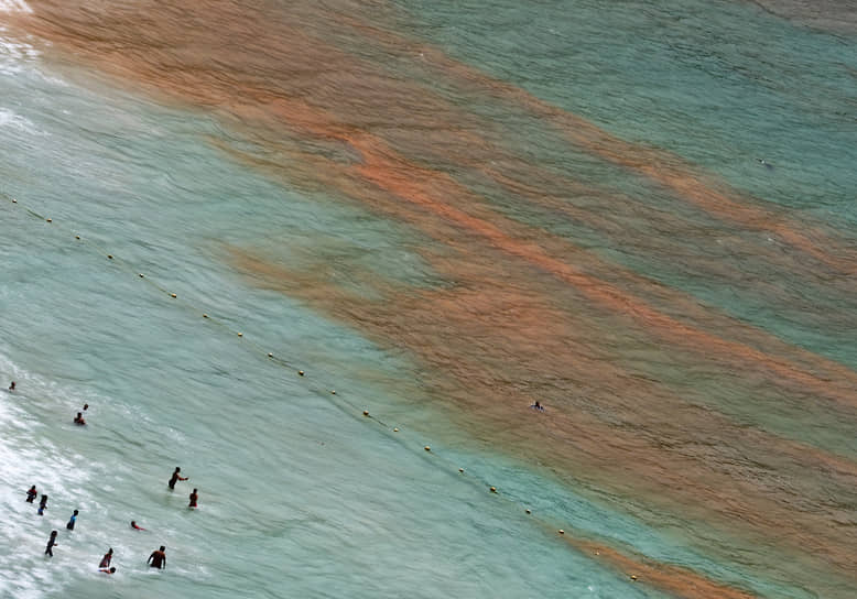 Кейптаун, ЮАР. Отдыхающие купаются на пляже Фолс-Бэй во время красного прилива