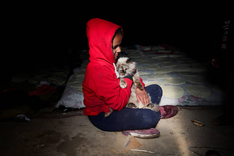 Сектор Газа. Ребенок с котом в палаточном лагере Рафах

