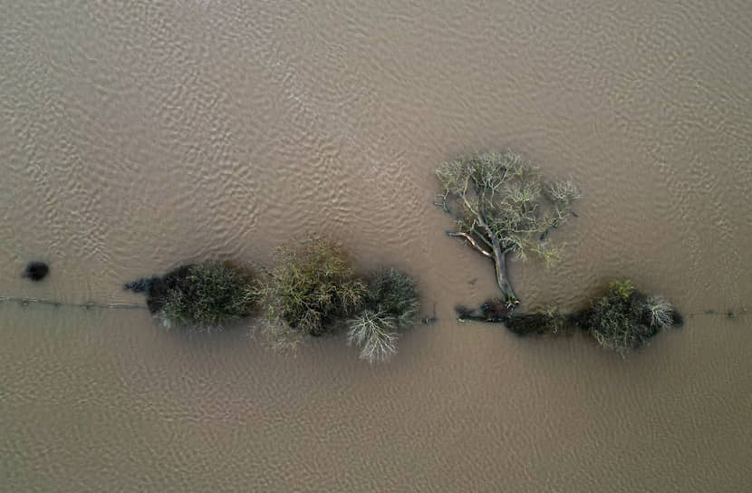 Уэлшпул, Великобритания. Деревья в реке Северн после шторма «Джоселин»