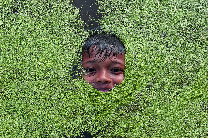 Сунгай, Индонезия. Мальчик в цветущей реке Батангари