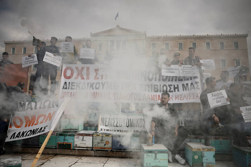 Афины, Греция. Пчеловоды протестуют на площади Синтагма перед парламентом против бюрократии, роста цен на производство и дешевого импорта
