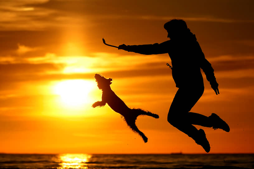 Санкт-Петербург. Женщина играет с собакой на берегу Финского залива