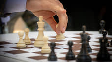 Федерации шахмат России придумали срок