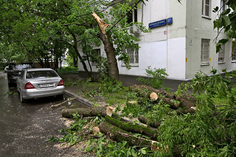 Шторм был оценен в 10 баллов по шкале Бофорта из 12 возможных
&lt;br>На фото: упавшее дерево у жилого дома на улице Маршала Жукова
