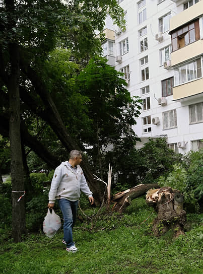 Упавшее дерево во дворе дома на 2-ой Сокольнической улице