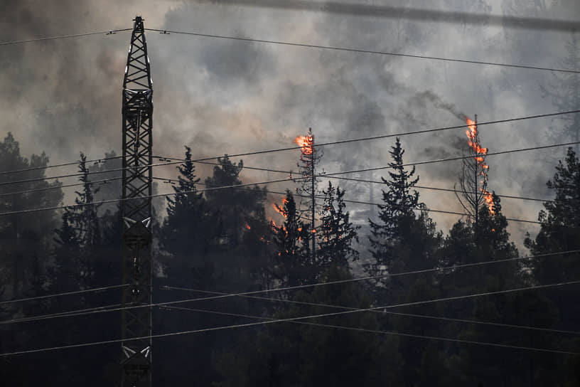 Израиль. Лесной пожар после обстрела «Хезболлой» военных объектов ЦАХАЛа у ливано-израильской границы
