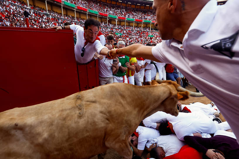 Памплона, Испания. Дикая корова прыгает через участников фестиваля Сан-Фермин