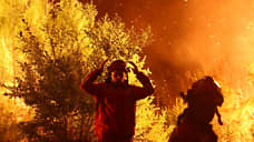 Лесные пожары в Европе и США