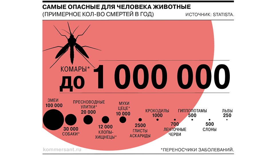 Комары возглавляют топ смертоносных для человека животных