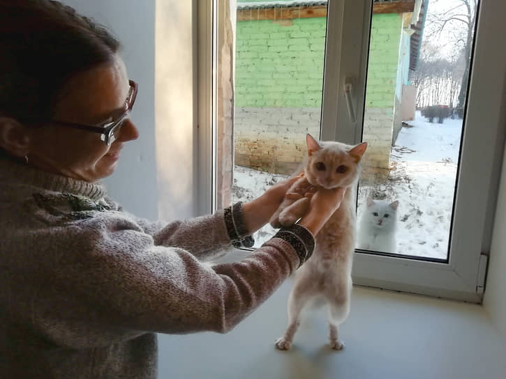 Интернат для живущих в нем — дом. Но права у людей там далеко не домашние. Например, завести себе животное большинству из них не позволят