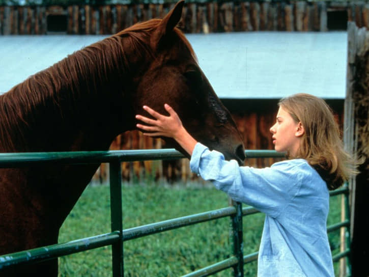 Кадр из фильма «Заклинатель лошадей», 1998 год